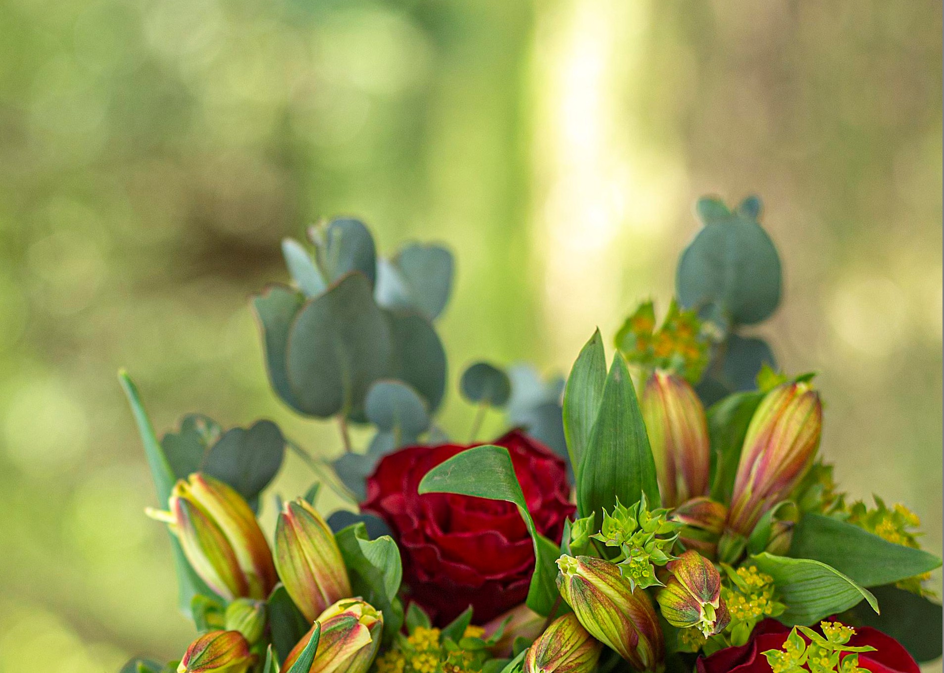 Red rose bouquet detail with foliage