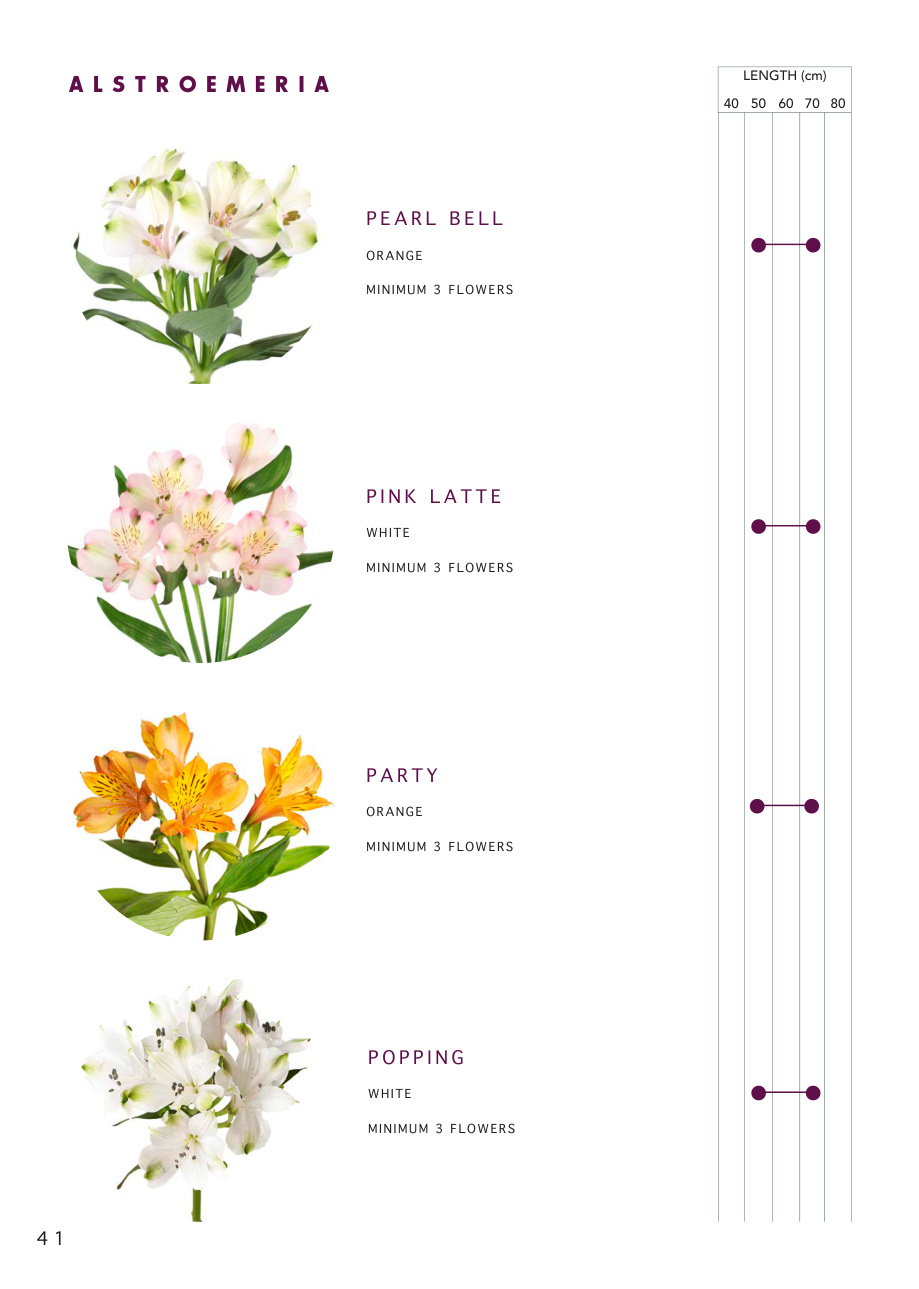 Alstroemeria varieties