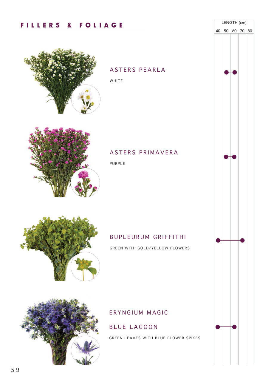 Fillers and foliage