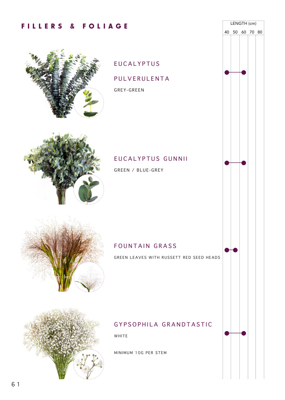 Fillers and foliage